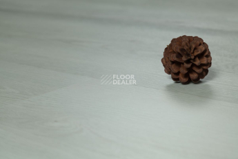 Tarkett Funky House JACK фото 11 | FLOORDEALER